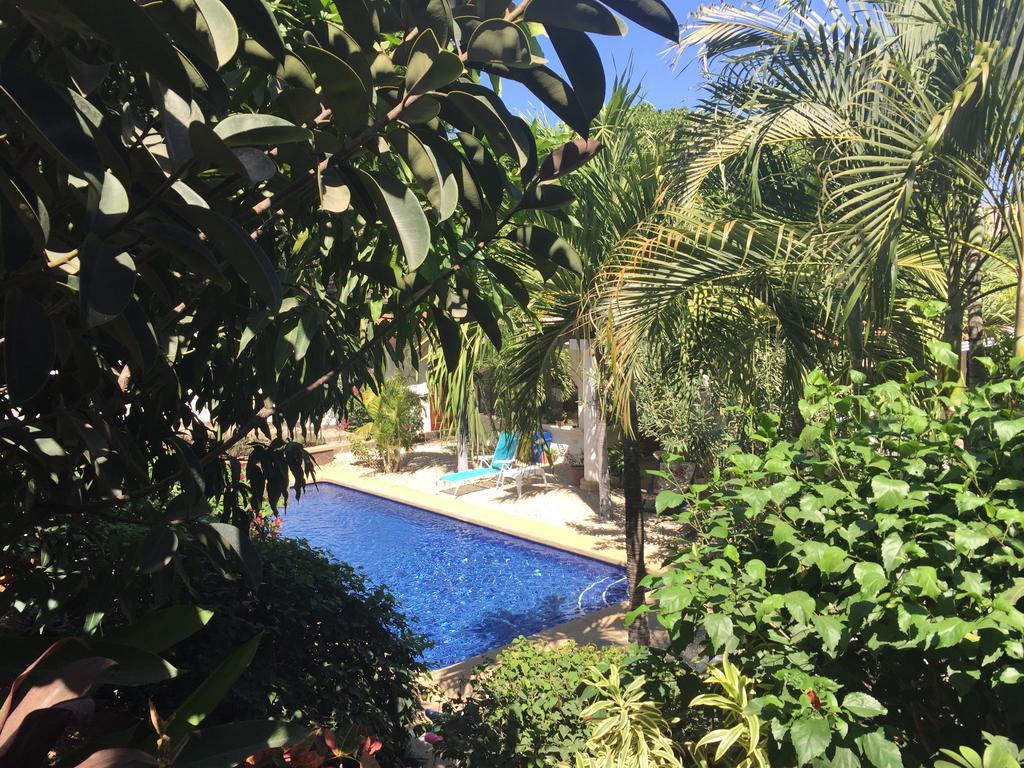 Hotel Flores (Adults Only) Тамариндо Екстер'єр фото